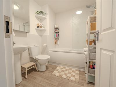 Picture 11